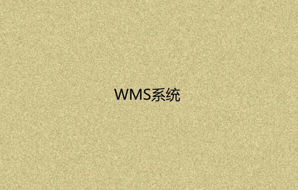 WMS系統